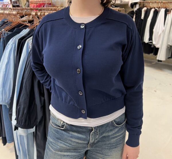 Cardigan Daniele Fiesoli - Afbeelding 3