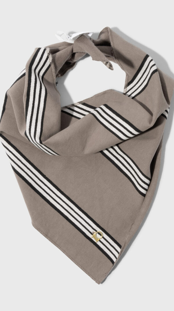 bandana stripes 10DAYS