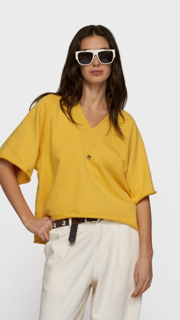 short sleeve sweater v-neck